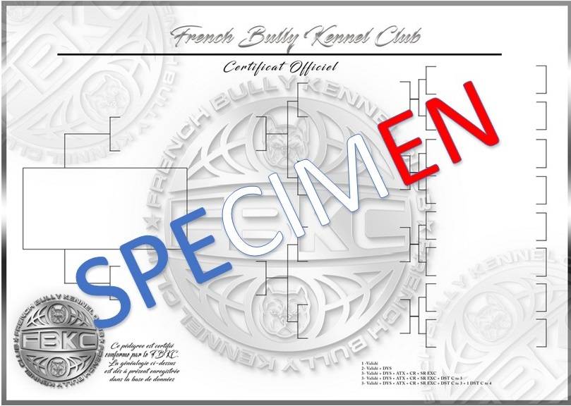 Exemple pedigree FBKC